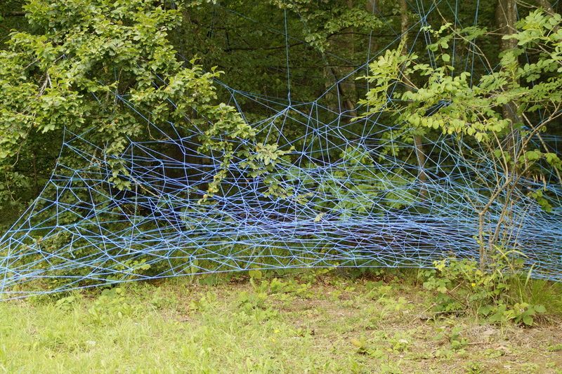 outdoors, non-urban scene, no people, network, forest, entangled, background, nature, growth, field, barrier, interwoven, structure, grass, boundary, metal