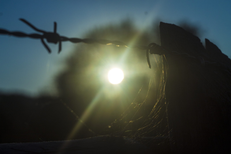nowosiółki dydyńskie, spiders web, boundary, sky, tranquility, no people, light, bright, sunbeam, safety, lens flare, beauty in nature, 4K, security, silhouette