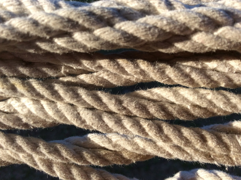 sailing, still life, pattern, sunlight, day, outdoors, brown, twisted, cable, messy, 2K, textured, cord, plant part, leaf, textile, entanglement, woven