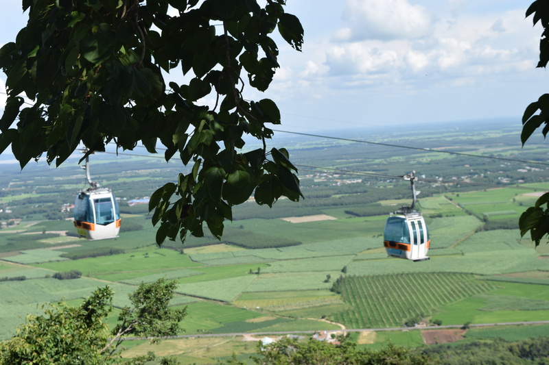 green color, airplane, mrs black mountain, tree, scenics - nature, environment, 5K, air vehicle, tay ninh, elevator, leaf, sky, day, mode of transportation