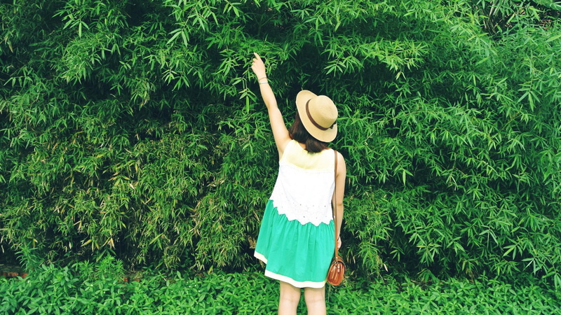 green, dress, hat, s, loneliness is a persons carnival, girl, sling, brown, back, green bamboo, women, mood, loneliness, bag, 1080P, bamboo, white, sleeveless