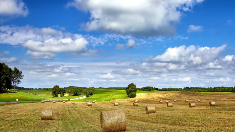 Sky, Field, Nature, Cloudy, Hay, Farm, 1080P, Landscape, Summer