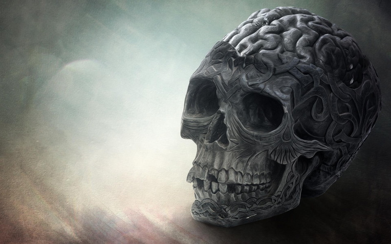 skull, 1080P, brain