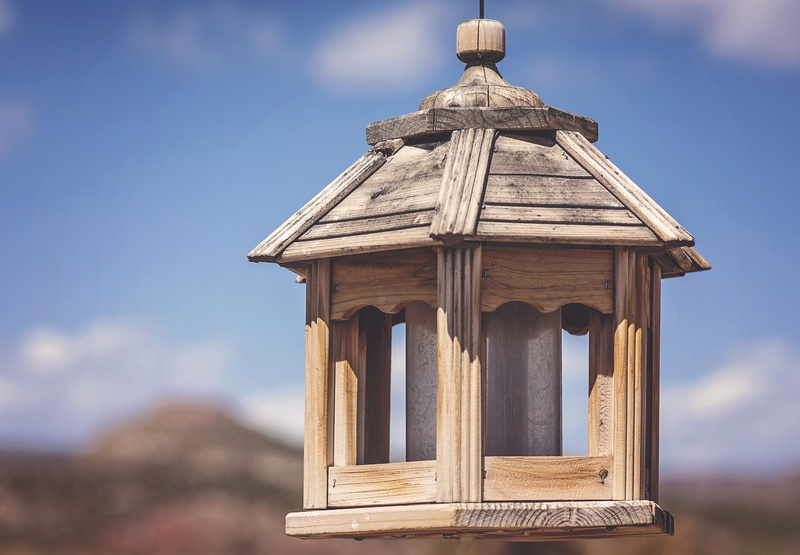 building exterior, house, birdhouse, day, architectural column, traditional, mindset, the past, nature, blue, outdoors, low angle view, home, sunlight