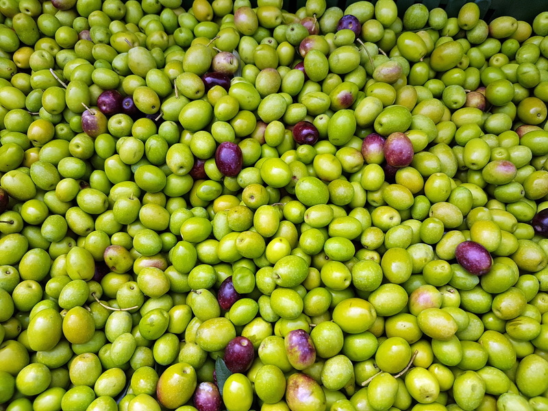 choice, day, fruit, organic, abundance, wellbeing, natural, lot, market, food, for sale, high angle view, full frame, still life, healthy eating, backgrounds