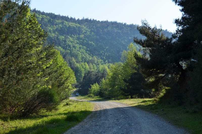 scenics - nature, beauty In Nature, the leaves are, peace, nature, no People, scenics, beautiful, landscape, rural Scene, color, environmental, transportation