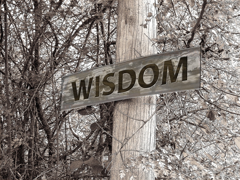 acumen, branch, capital letter, education, mature, intelligence, experience, land, sign, old, scholarship, no people, information sign, wisdom, tree, pile