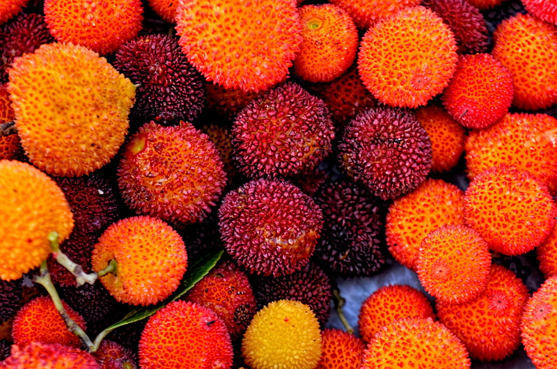 no people, current season, red, garden, landscape nature, environmental, plant cover, botanical, natural turkey, fruit, doburca, tropical fruit, close-up