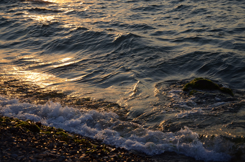 aquatic sport, motion, scenics - nature, day, sky, Scholarship, views of the sea, wave, summer, scenics, Marine, power in nature, outdoors, ripple, doga