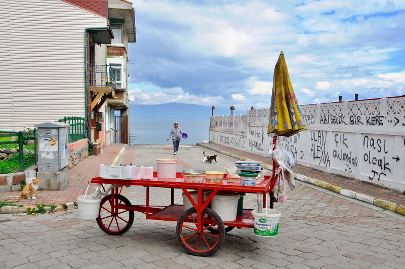 day, lifestyles, real people, one person, nature, mudanya, built structure, architecture, mode of transportation, outdoors, men, fisherman, cat, adult