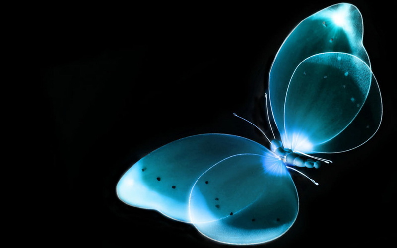 black, 1080P, cyan, butterfly, macro, x-rays, simple background, black background