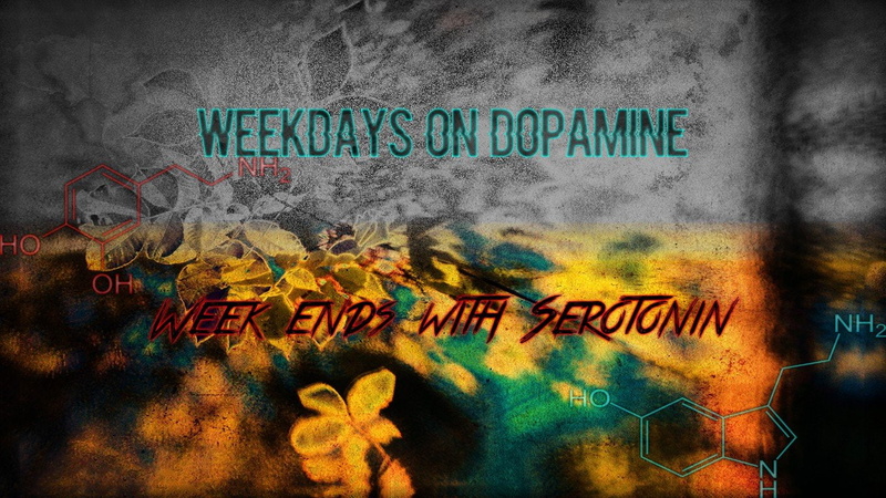 LSD, Euphoria, drugs, Ecstasy, work, 720P, Anatomy
