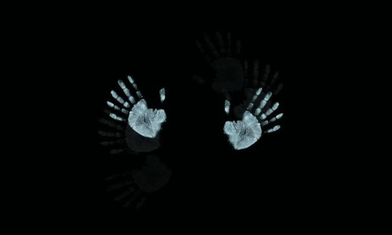 dark, white, pattern, circle, animal, copy space, animal wildlife, indoors, close-up, abstract, black, fingers, no People, backgrounds, sea, light - Natural Phenomenon