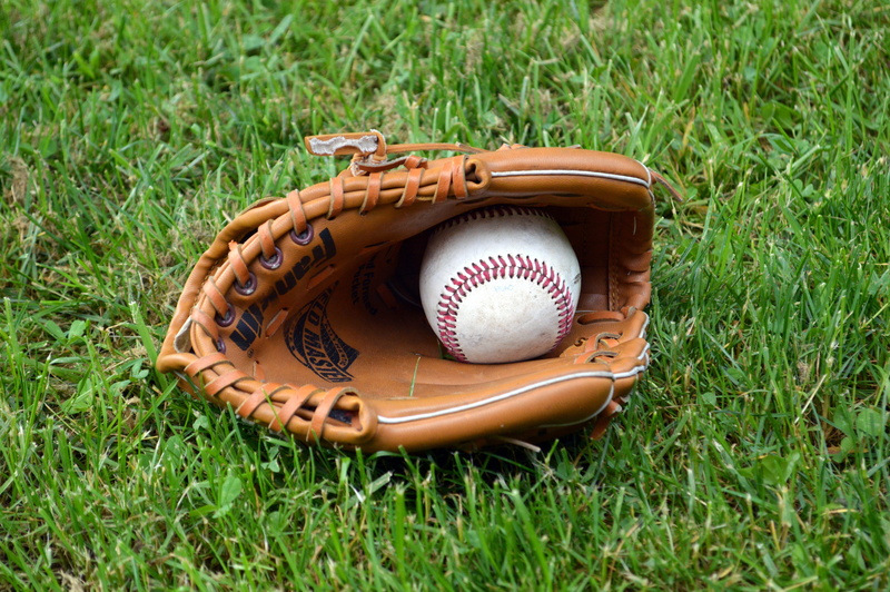 leather, brown, glove, plant, green color, outdoors, playing field, ball, still life, play, no people, day, equipment, sport, high angle view, land, athletics