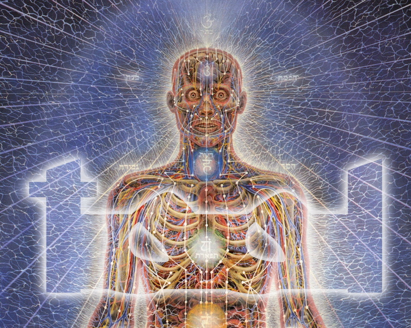 hd, tool, music, 720P