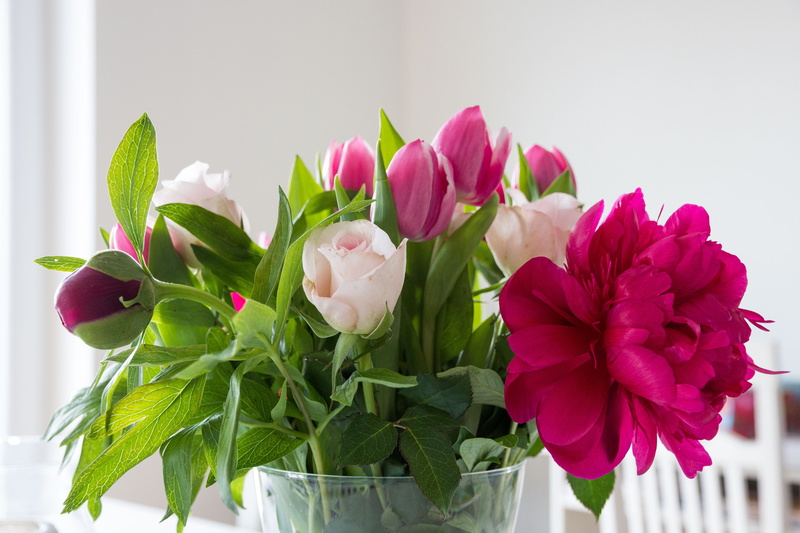 pink color, white, beauty in nature, bouquet of flowers, flowering plant, flowers, peony, colorful, decoration, petal, rose, vulnerability, close, freshness