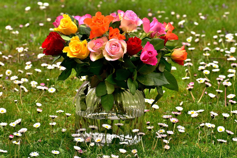 flower arrangement, roses, 5K, gift, flowers, flowering plant, vulnerability, colorful, glass, bouquet of roses, day, springtime, beauty in nature, nature
