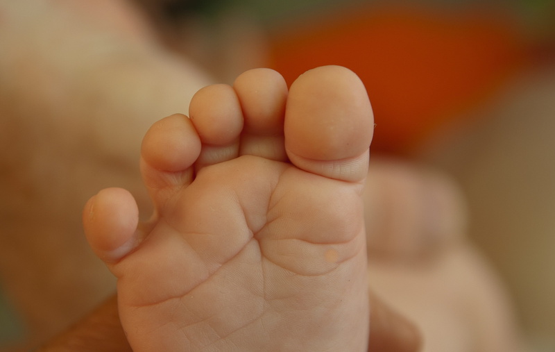 softness, child, young, human body part, close-up, people, human hand, photography, finger, human leg, body part, foot, focus on foreground, human toe