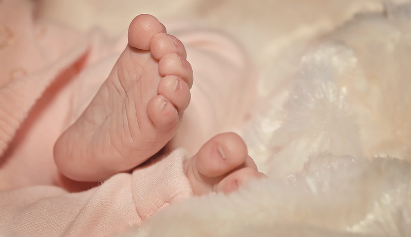 human Foot, feet, child, close, caucasian Ethnicity, human Toe, sweet, new Life, indoors, small, tender, foot, human Hand, people, softness, hand, innocence