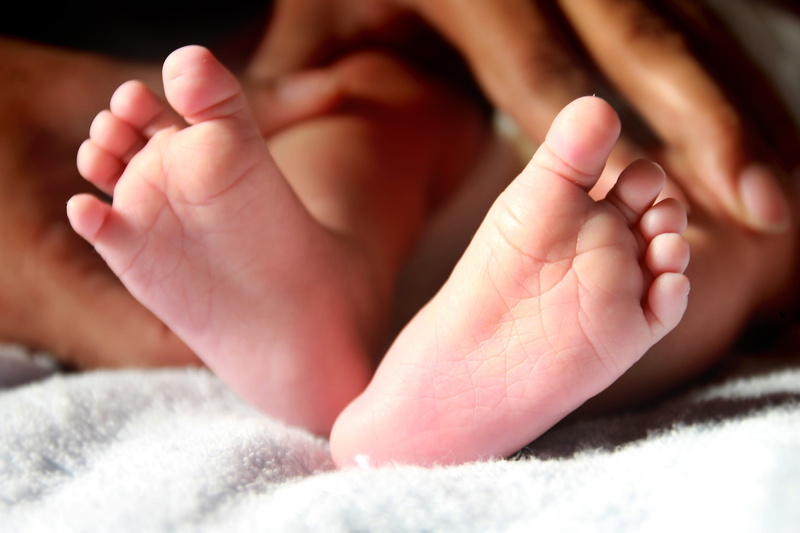 new life, close-up, small, human toe, child, human, human hand, innocence, little, softness, body part, human body part, body, white, selective focus, young