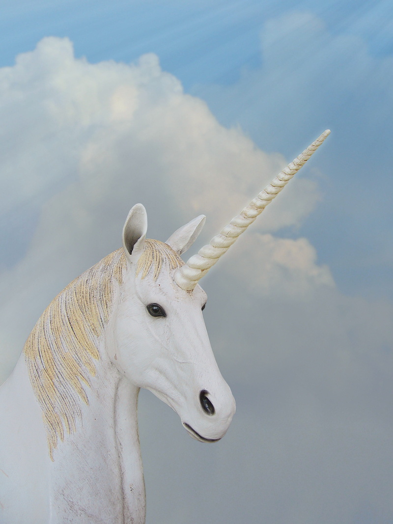 animal themes, domestic animals, sky, no people, animal wildlife, low angle view, nature, white, animal body part, horn, animal magic, one animal, cloud - sky