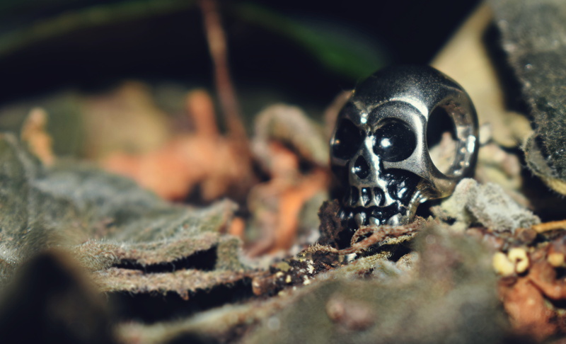 selective focus, plant, conflict, tombstone, armed forces, skull metal, government, the head of the skeleton, cranio, history, 5K, the skeleton of metal