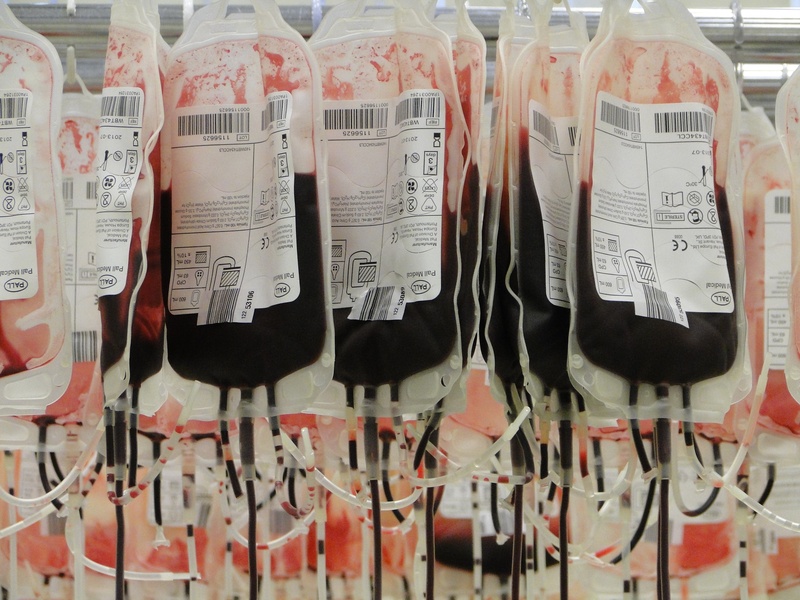 script, 2K, blood bags, indoors, message, no people, lot, western script, education, paper, glass - material, still life, in a row, hospital, text, transparent