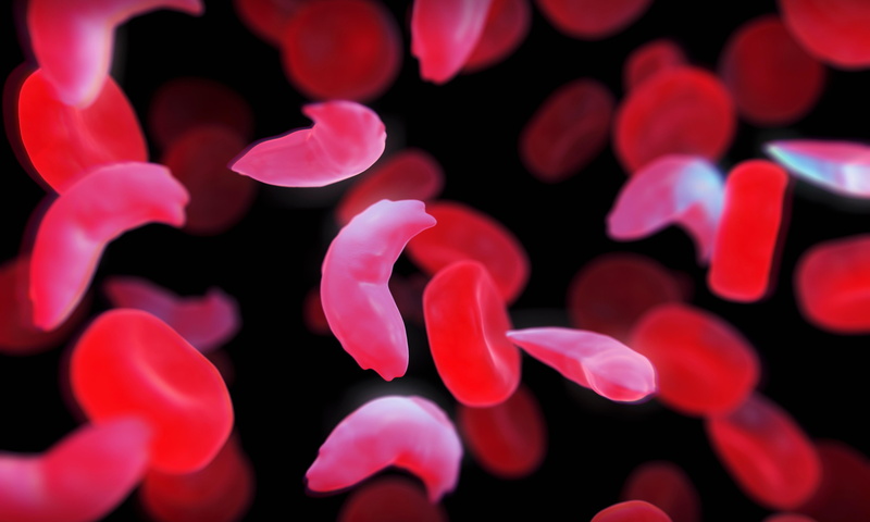 4K, Blood cells, 5K