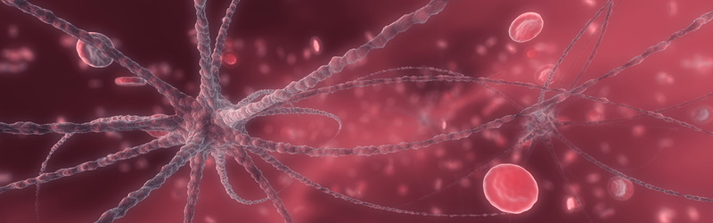 no people, red, pattern, material, abstract, full frame, cells, studio shot, biology, digitalrendering, selective focus, nature, healthcare and medicine