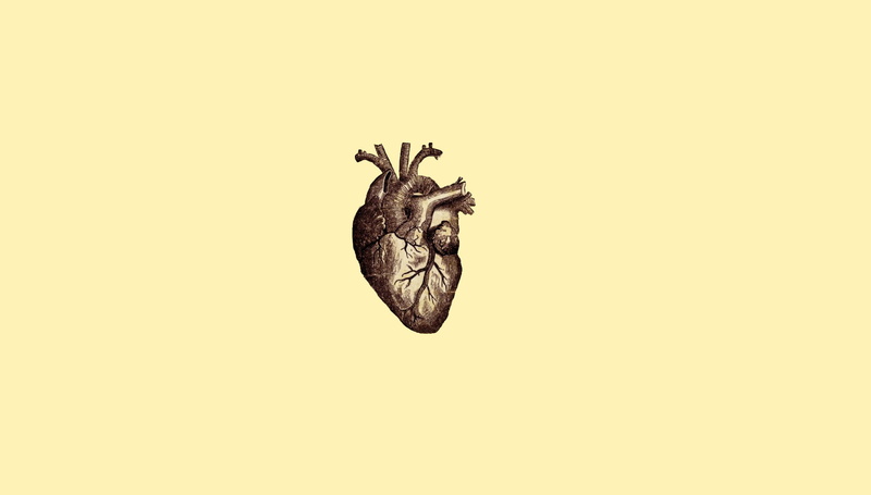 digital art minimalism simple simple background drawing anatomy hearts veins medicine, 720P
