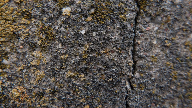 1080P, split, moss, concrete, texture