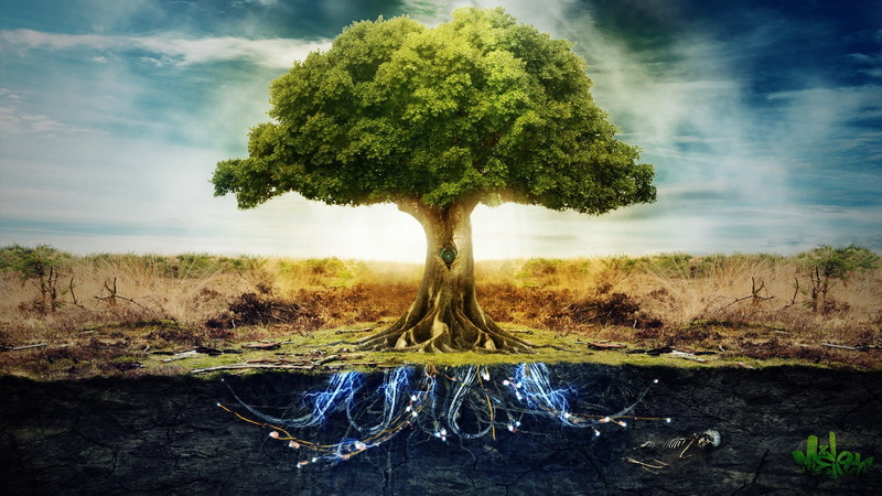 anime, split view, trees, photo manipulation, electricity, technology, peace, digital art, machine, roots, 1080P, nature, skeleton