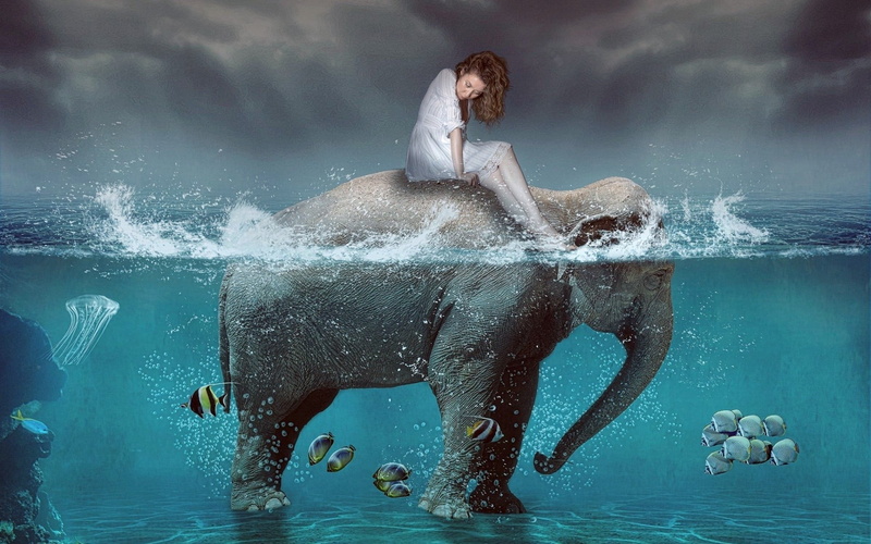 splashing, emotion, split view, full length, motion, adult, fish, young adult, beauty, water, swimming pool, sport, digital composite, people, digital art
