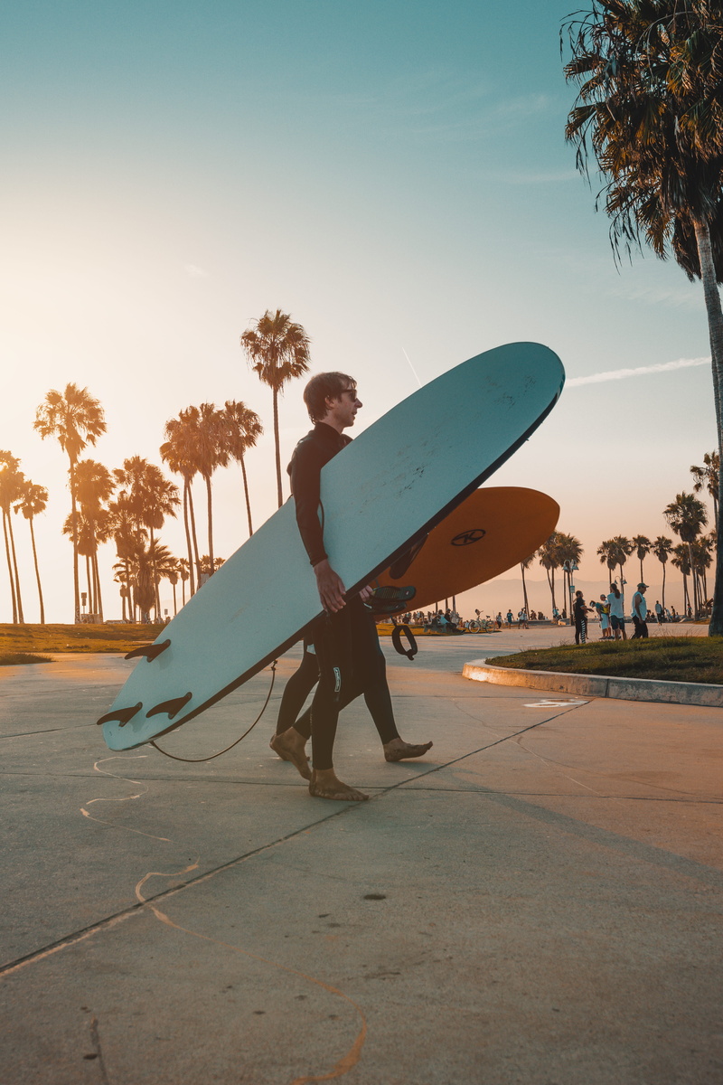 copy Space, sport, palm tree, sand, outdoors, males, sunlight, recreational Pursuit, water Sport, leisure Activity, one Man Only, caucasian Ethnicity, walking