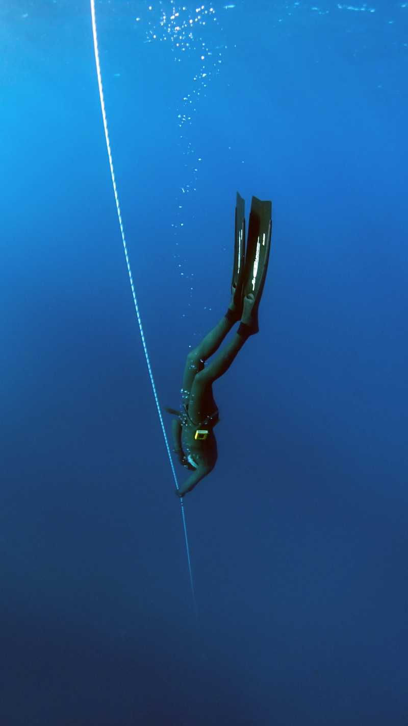 undersea, underwater diving, water, sea, one person, diving, woman, bubble, full length, underwater, holding, person, aquatic sport, weight, deep dive