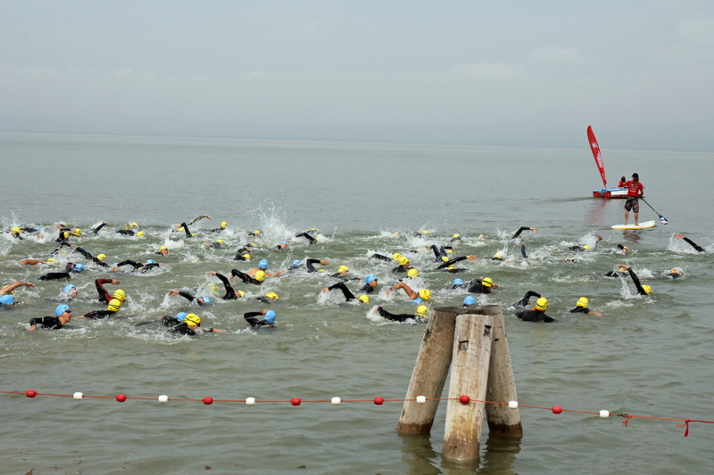 sky, wetsuit, wetsuits, athletes, real people, austria, lake neusiedl, animal wildlife, day, waterfront, animal, animal themes, bathing cap, people, sea