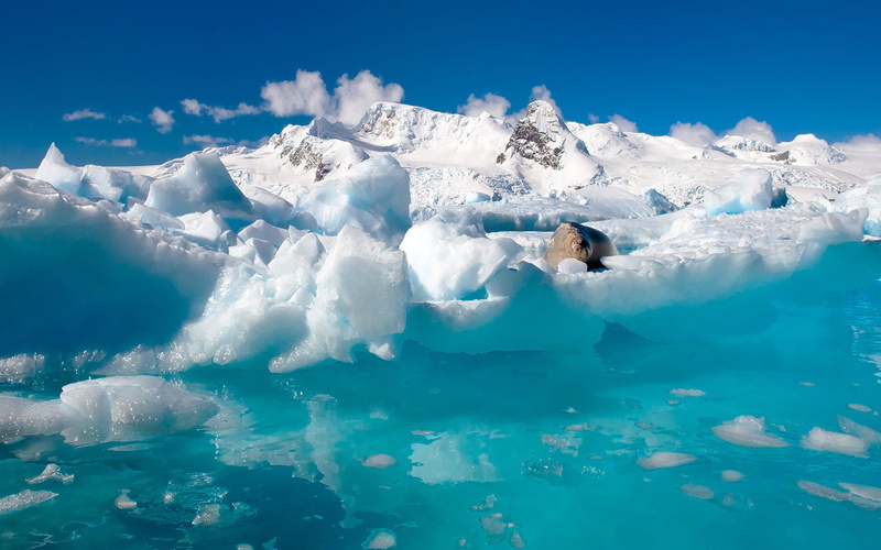 iceberg, blue, no people, day, Ocean, 720P, tranquility, water, ice, sky, turquoise colored, antarctic, environment, Nature, beauty in nature, outdoors