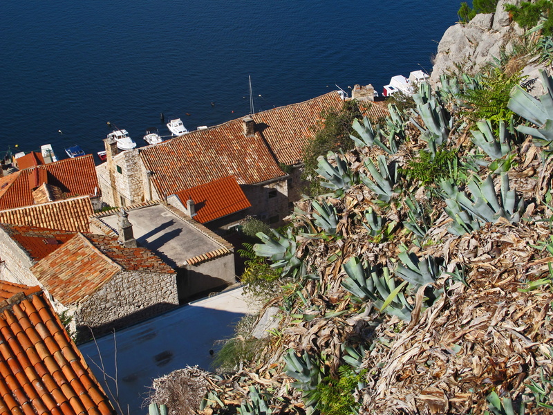 Croatia, water, split, unesco, day, built structure, land, roof, landmark, 2K, house, historic, town, europe, roofs, green, city, sunlight, no people