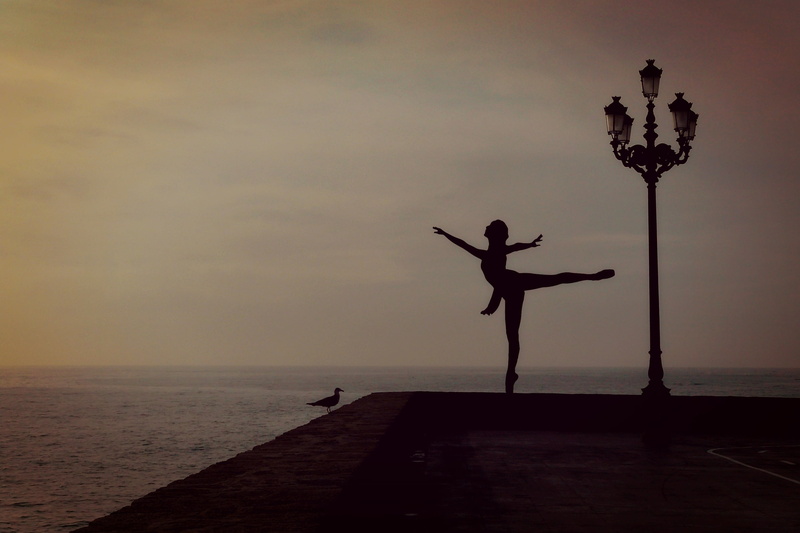 arms raised, females, people, women, seagull, dancer, ballerina, perform, nature, bird, scenics - nature, real people, tranquility, one person, top dance