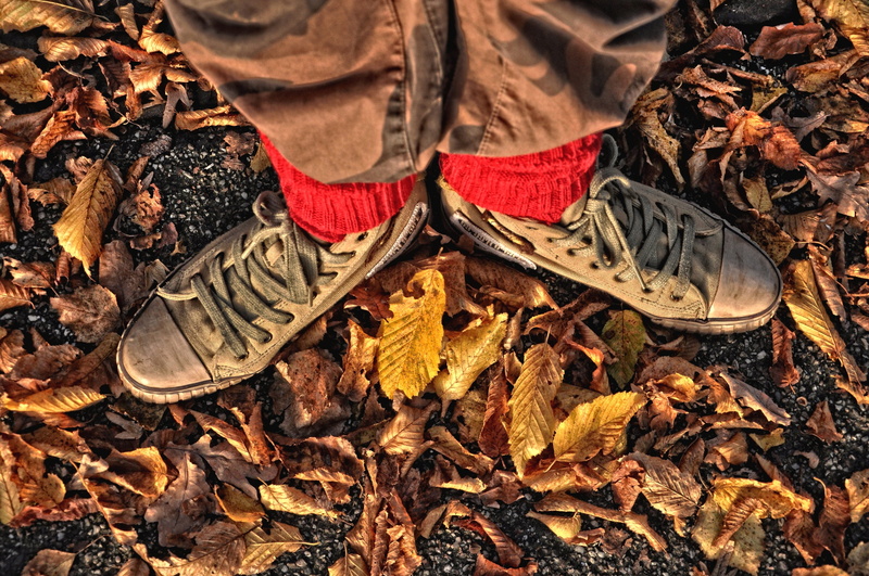 autumn colours, feet, brown, change, plant part, messy, low section, autumn, body part, land, falling, one person, high angle view, leg warmer, leaf, human leg
