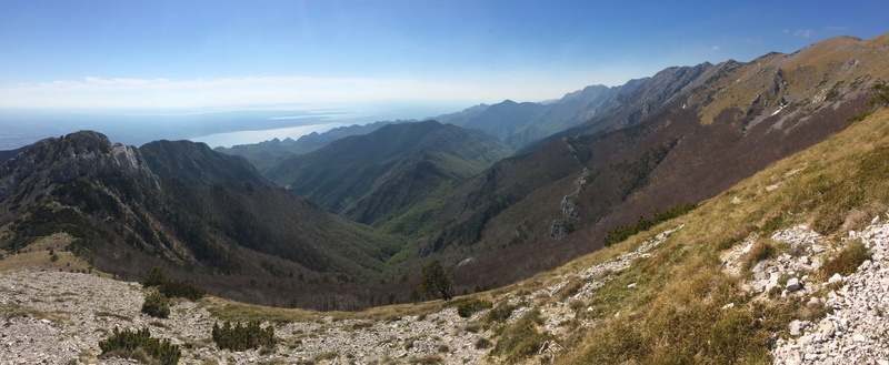 trail, pine woodland, no people, dalmatia, scenics - nature, coniferous tree, travel destinations, velebit, hiking, landscape, pine tree, mountain range