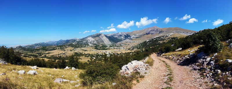dalmatia, land, mammal, environment, cloud - sky, scenic, Mountain, tree, coniferous tree, Velebit, Croatia, mountain range, panoramic, plant, pine tree