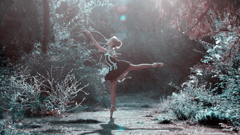 ballet, outdoors, full length, plant, ballet dancer, beautiful, woodland, young adult, teenager, females, pose, dance, real people, standing, day, plants