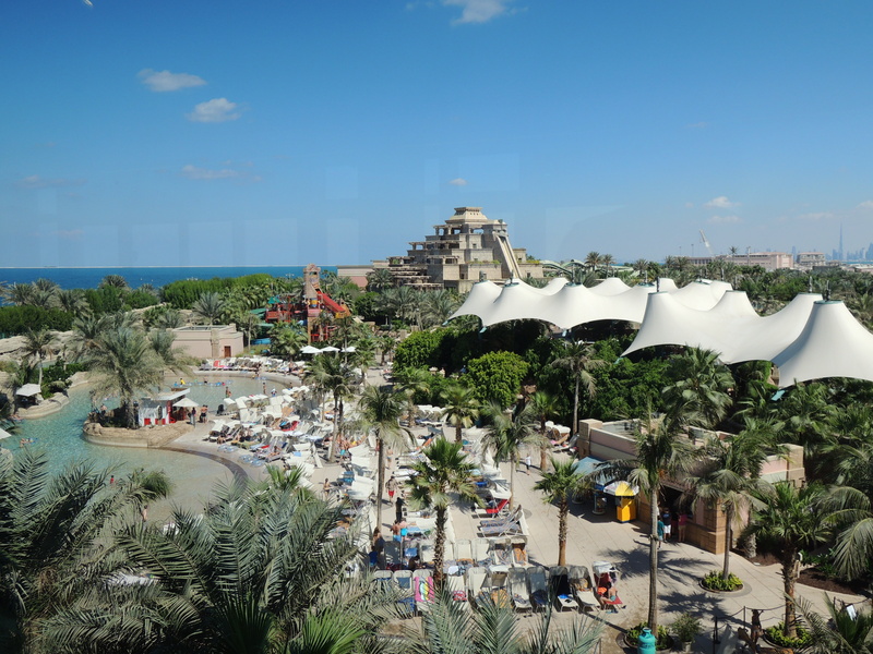 tropical climate, high angle view, travel, group of people, day, emirate, tree, aquarium, desert, city, plant, sky, water, blue, swimming, 4K, tourism