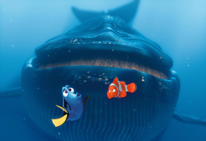 drama, adventure, comedy, tropical, finding, family, shark, nemo, underwater, sea, fish, animation, disney, whale, ocean, 4K
