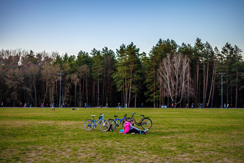 friends, trees, forest, bicycle, walk, 5K, excercise, park - man made space, blue sky, mode of transportation, sport, scenics - nature, tranquility, tree