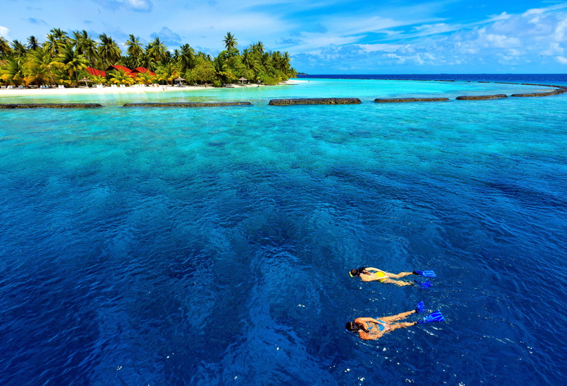 5K, Male Attols, leisure activity, tranquil scene, Baros Maldives, lifestyles, real people, waterfront, tree, Best Beaches in the World, land, day, tranquility