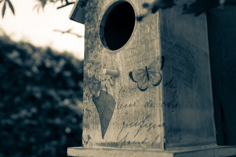 emotion, plant, day, birds nest, vintage, close-up, bird box, split tone, creativity, cosy, no people, outdoors, wood - material, decorative, focus on foreground