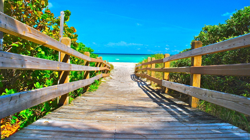 leisure, usa, tree, sky, pier, landscape, walkway, united states, wood, beach, miami, plant, boardwalk, 4K