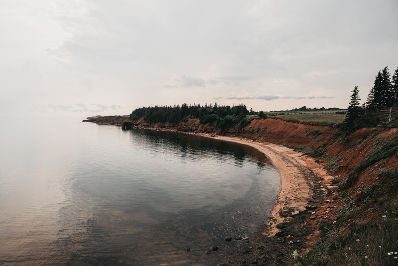pei, tree, cove, scenics - nature, beauty in nature, non-urban scene, canada, nature, land, trees, cloudy, sea, 8K, idyllic, red dirt, no people, beach